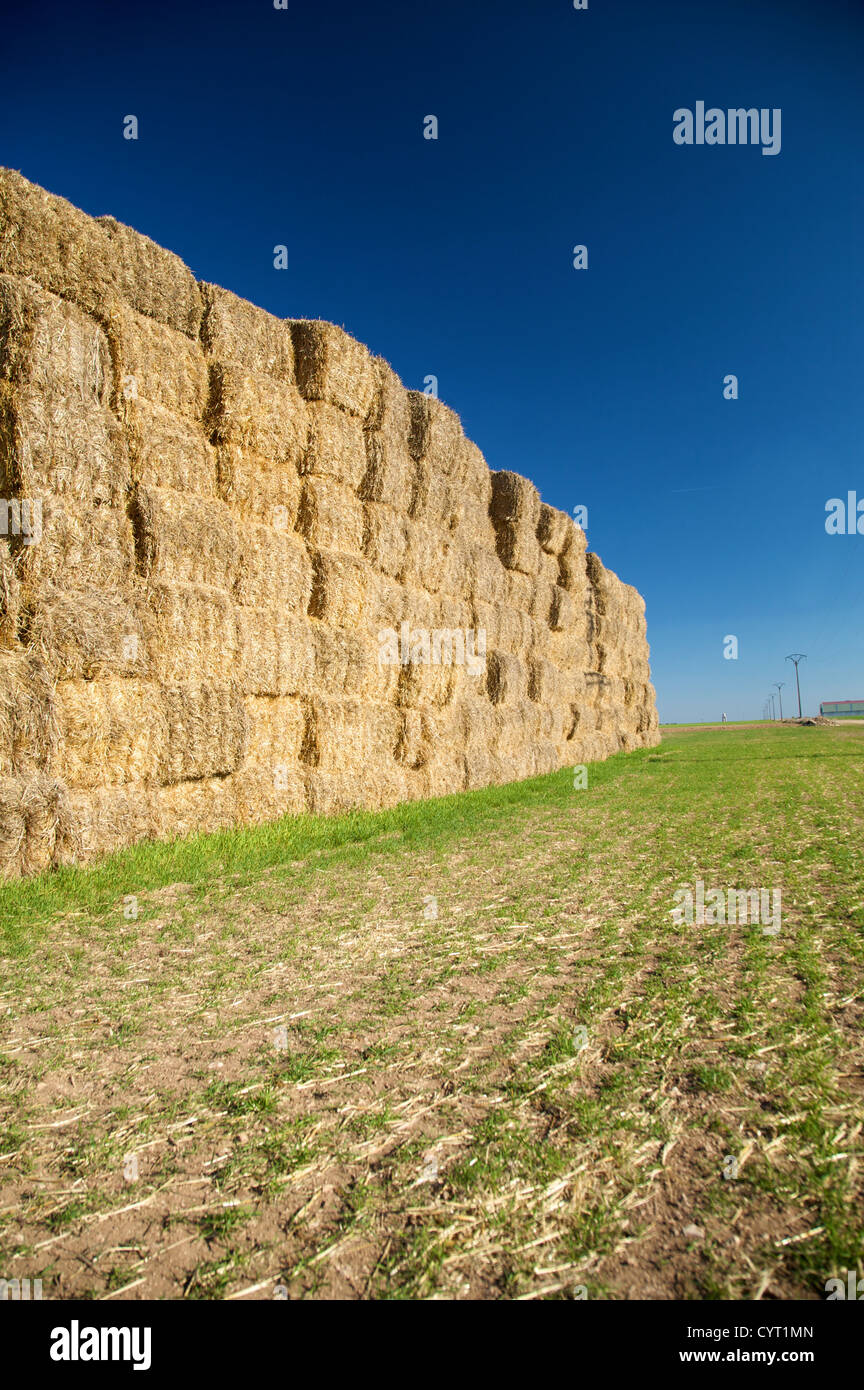 Country pile hi-res stock photography and images - Alamy