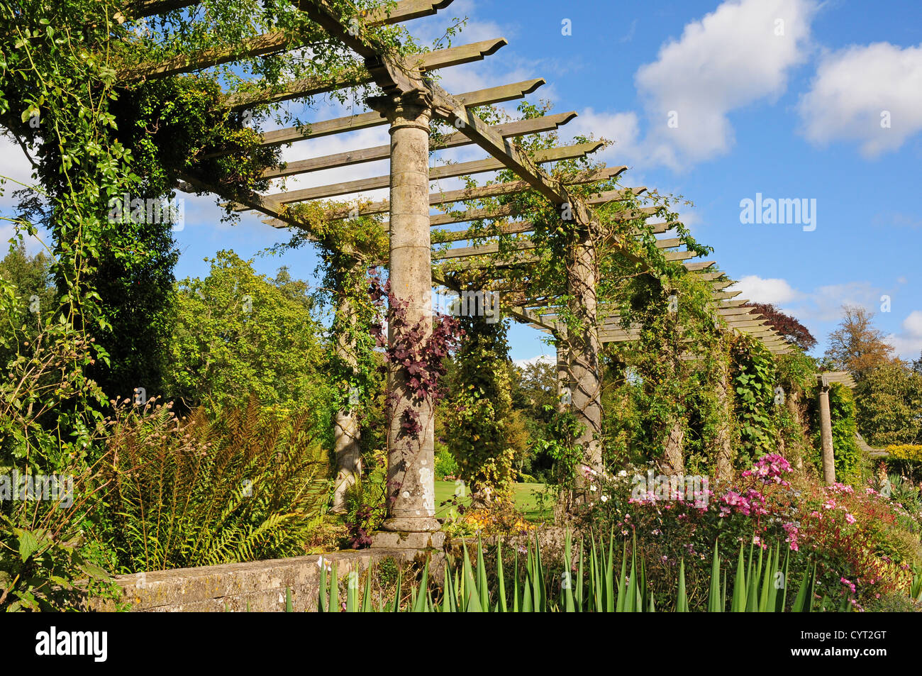 Pergola in the italian garden hires stock photography and images Alamy