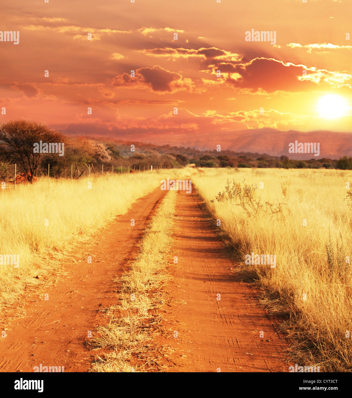 african landscapes Stock Photo 51546008 Alamy