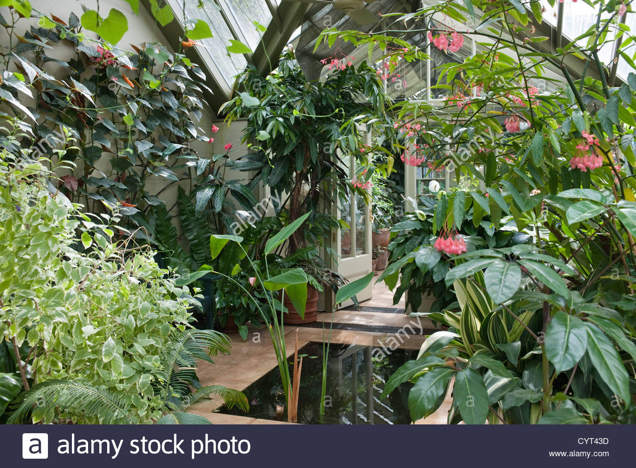 Conservatory Interior Stock Photos & Conservatory Interior ...