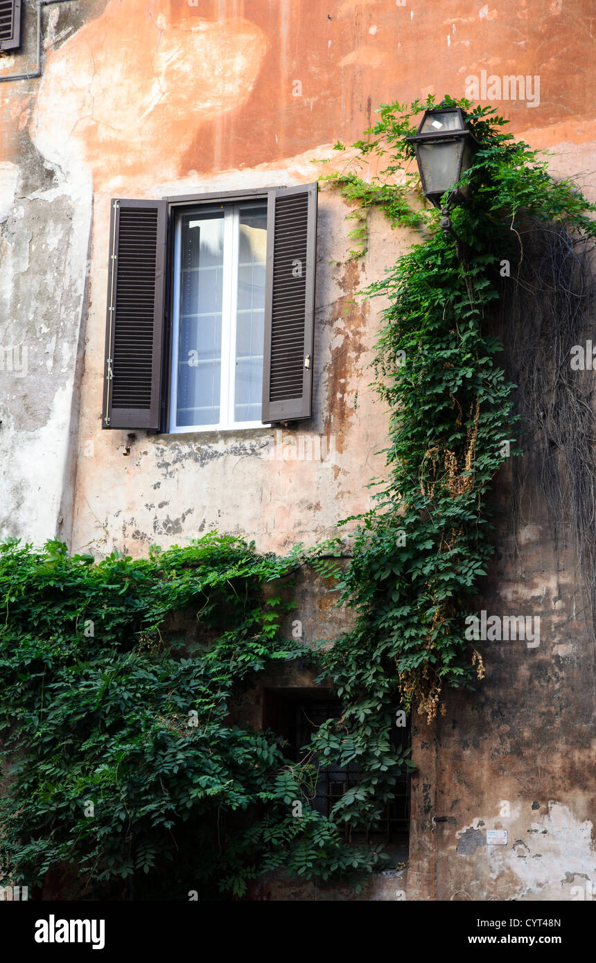 Facade with climbing plant Rome, Italy Stock Photo Alamy