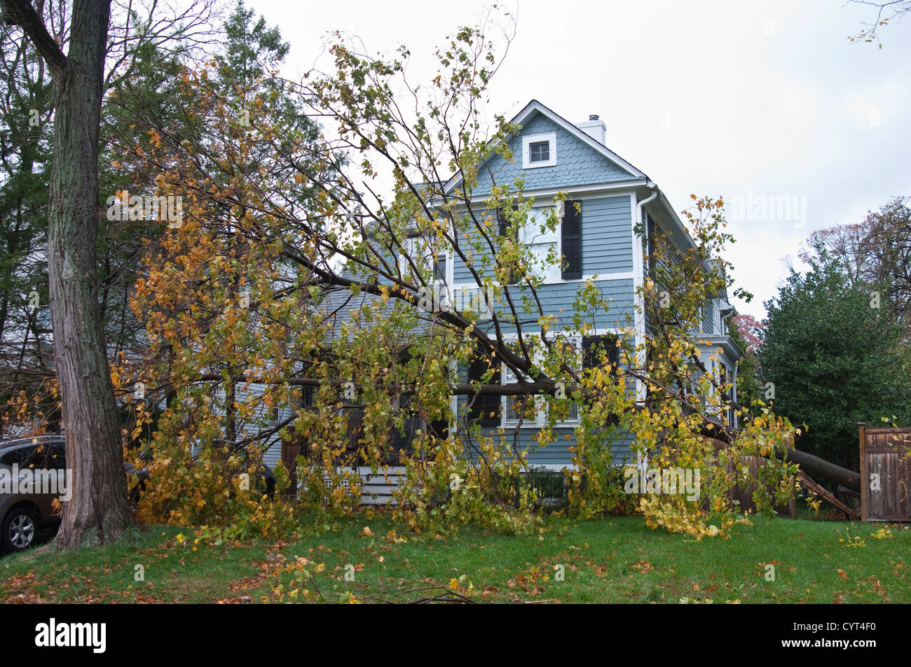 Damage caused by Hurricane Sandy in Tenafly, New Jersey, USA. A fallen