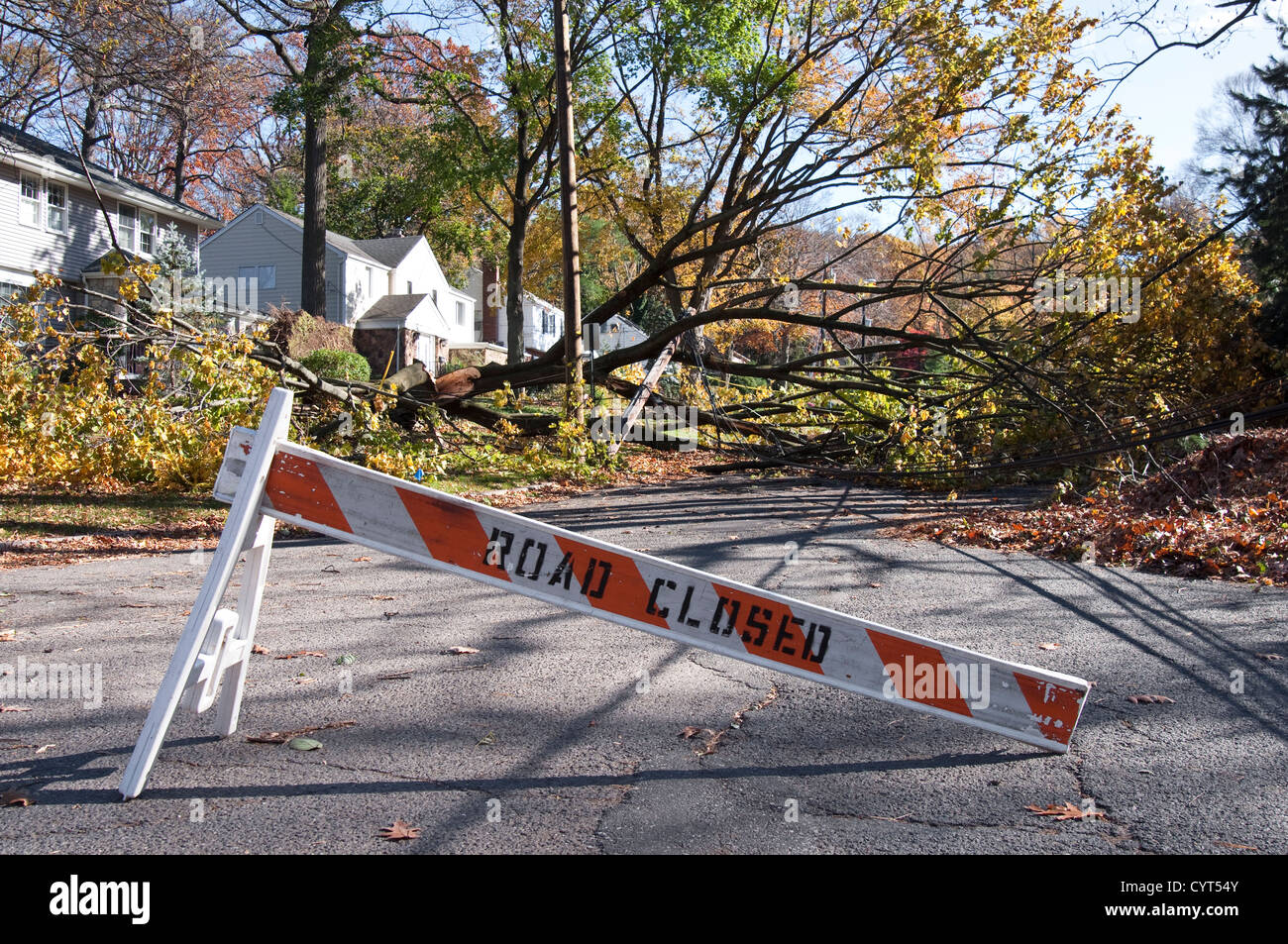 Damage caused by Hurricane Sandy in Tenafly, New Jersey, USA. A fallen tree has taken out utility cables. Stock Photo