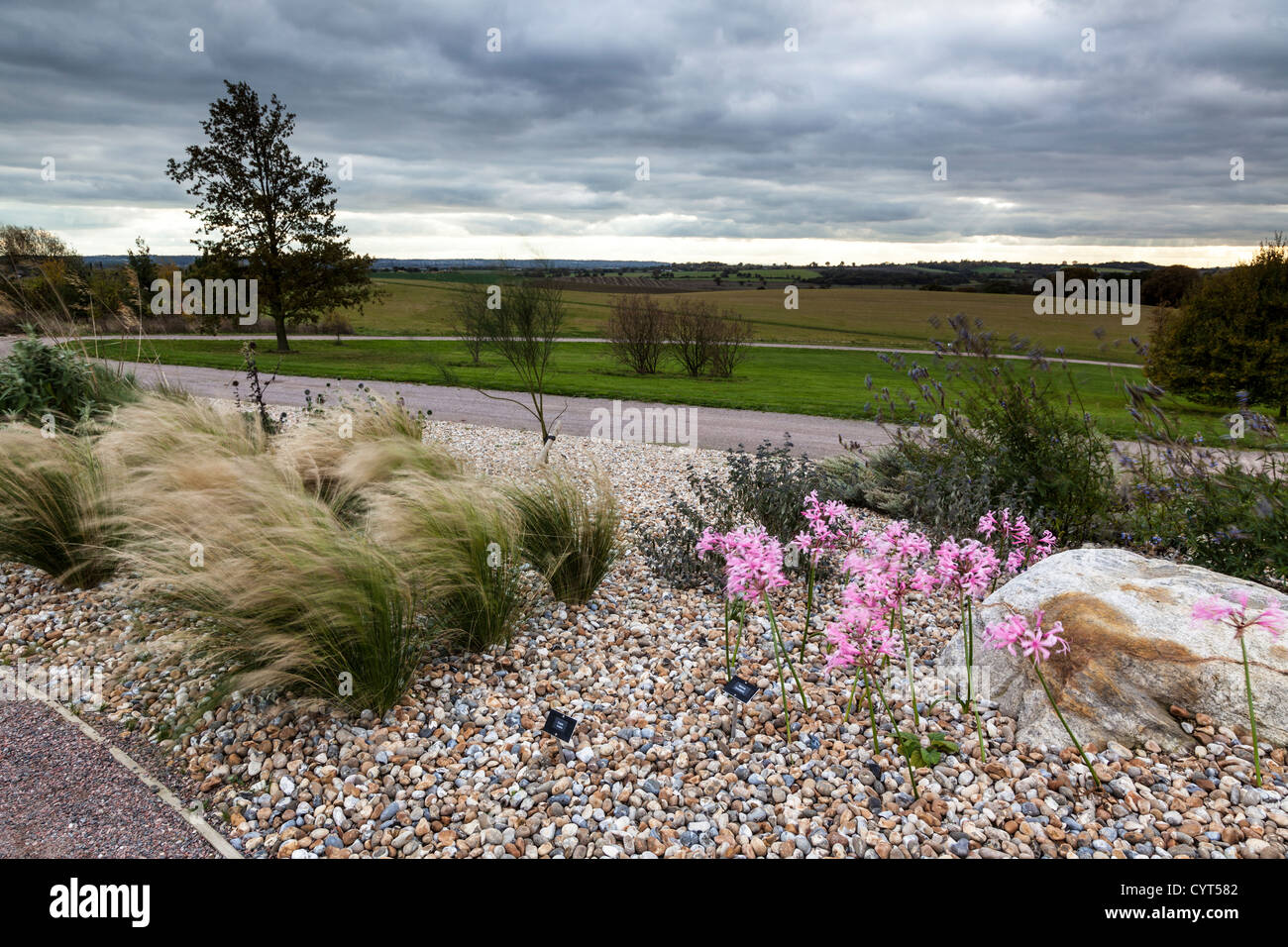 New Part of Dry Garden at RHS Hyde Hall, Dedicated to Growing and Displaying Drought Resistant Plants and Flowers Stock Photo