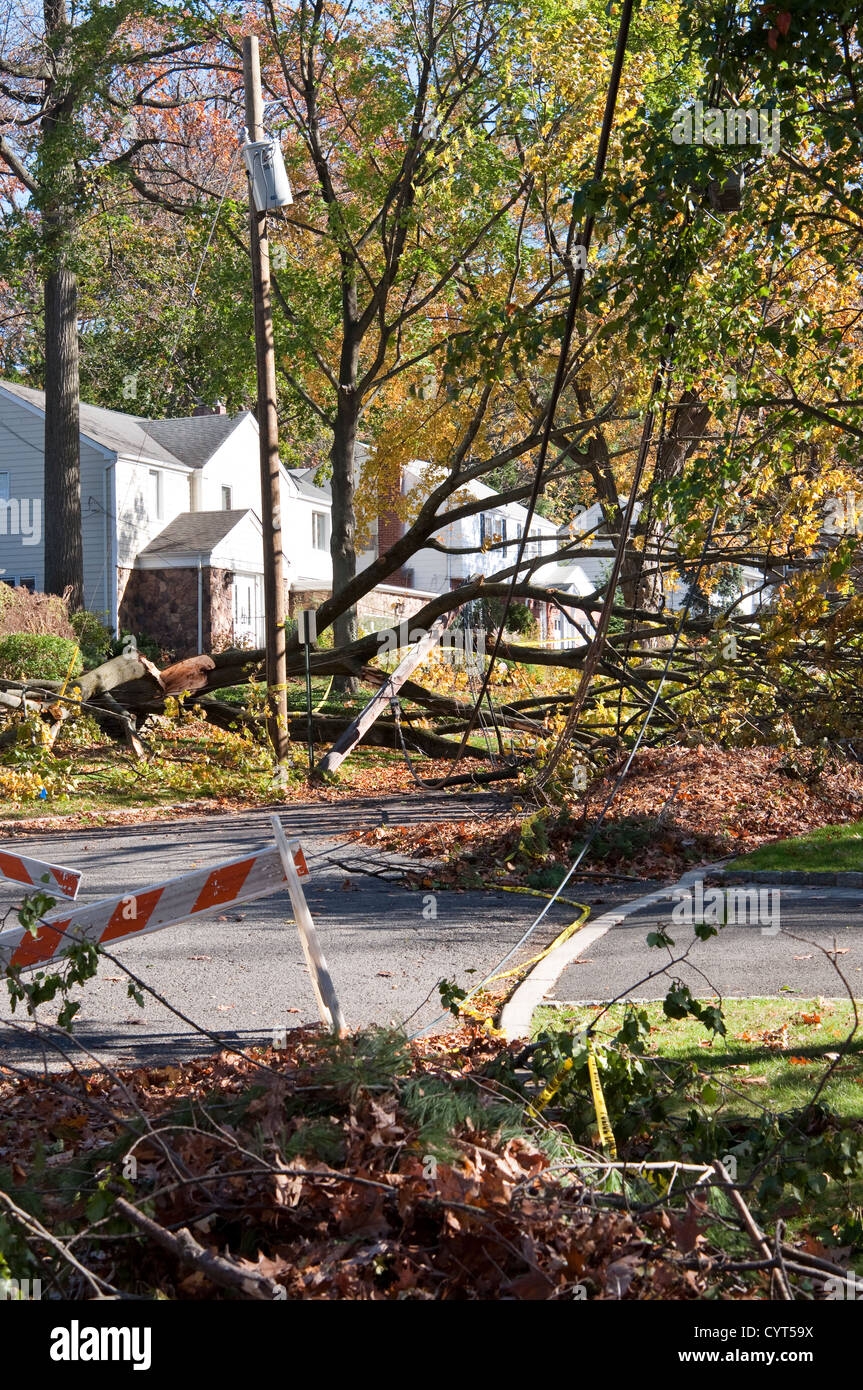 Damage caused by Hurricane Sandy in Tenafly, New Jersey, USA. A fallen