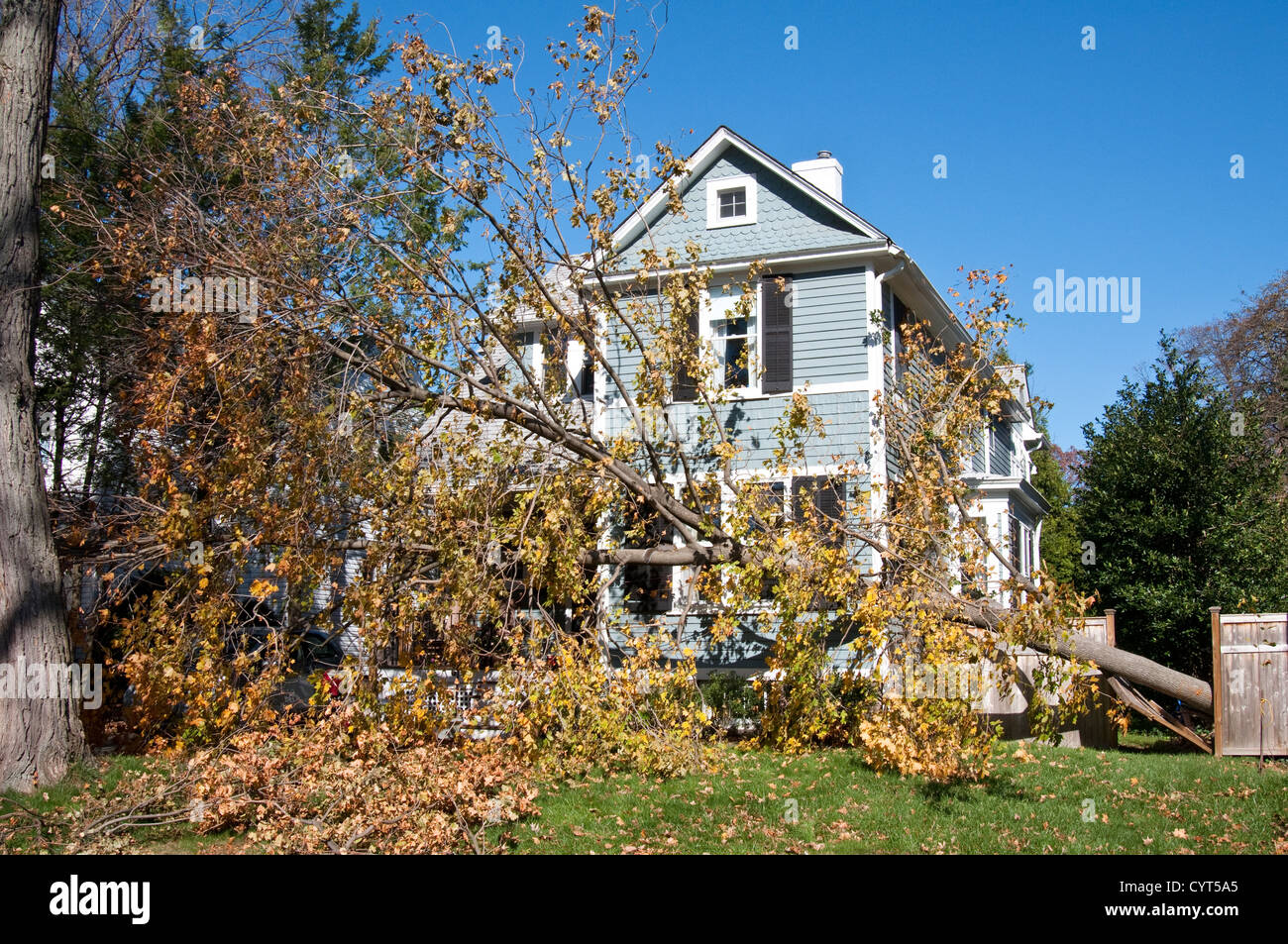 Damage caused by Hurricane Sandy in Tenafly, New Jersey, USA. A fallen