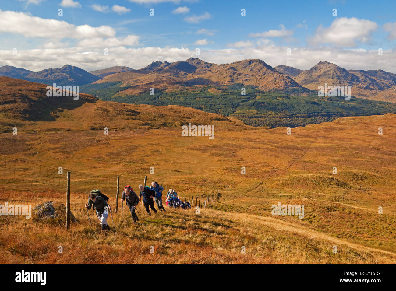 Walkers ascending Cruinn a'Bheinn from Cailness on Loch Lomond. The Arrochar Alps are in the background. Stock Photo
