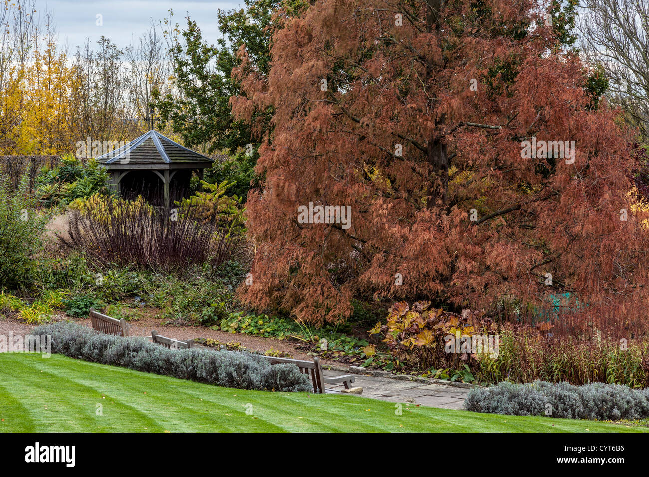 Gazebo near Upper Pond in Hyde Hall Gardens Stock Photo Alamy