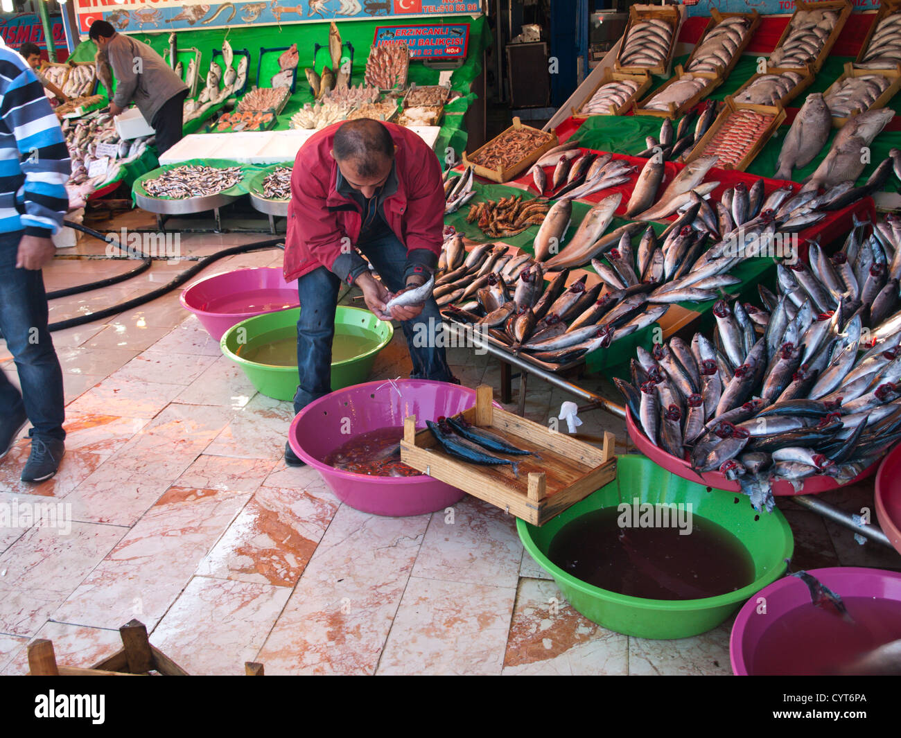 Morning fish market in Kumkapi Istanbul Turkey, fish fresh straight off the boats, cleaning fish for the display Stock Photo