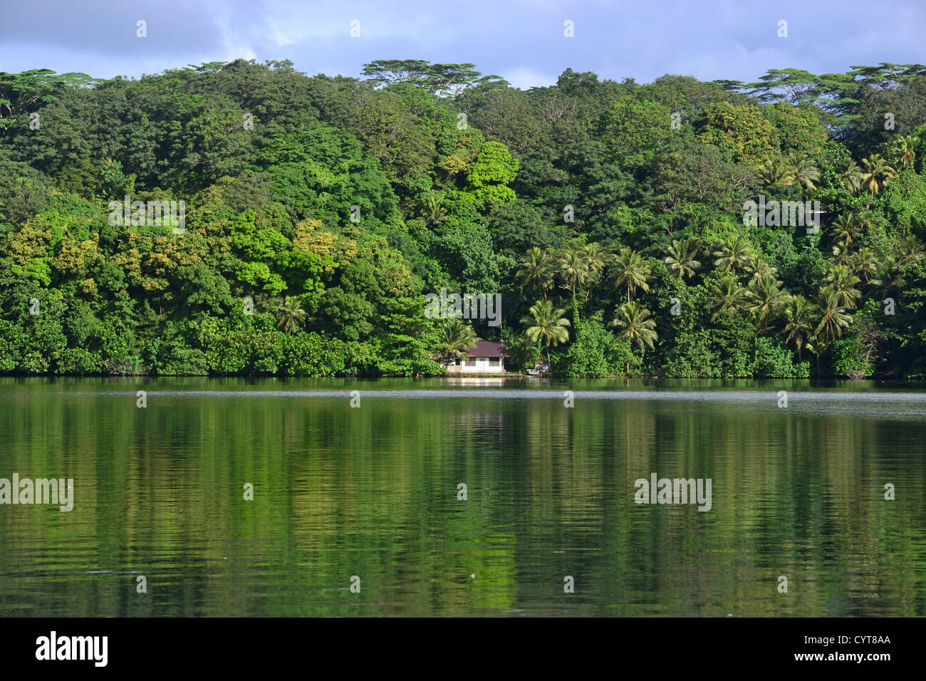 Coastal house and jungle, Pohnpei, Federated States of Micronesia Stock