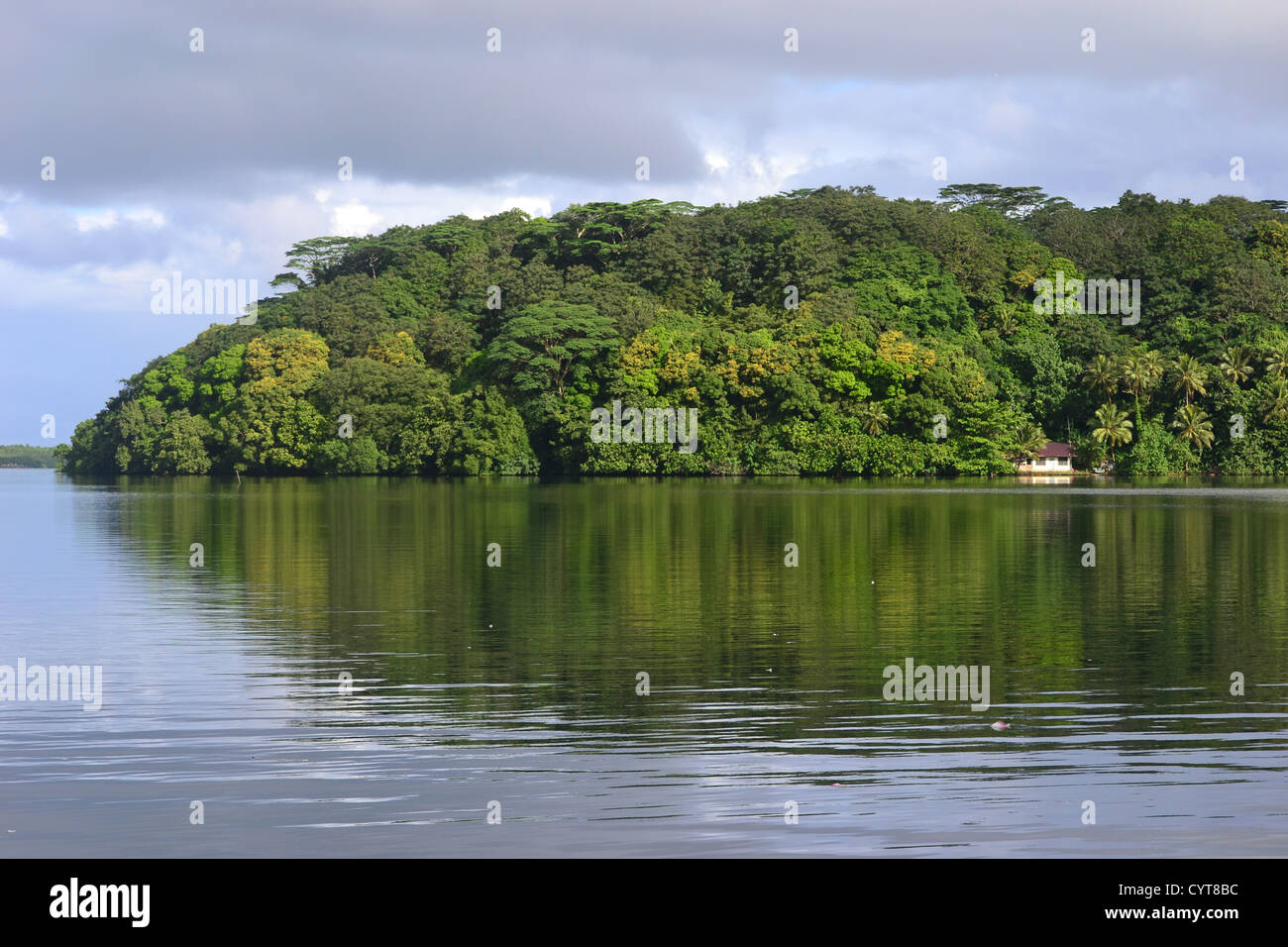 Coastal house and jungle, Pohnpei, Federated States of Micronesia Stock