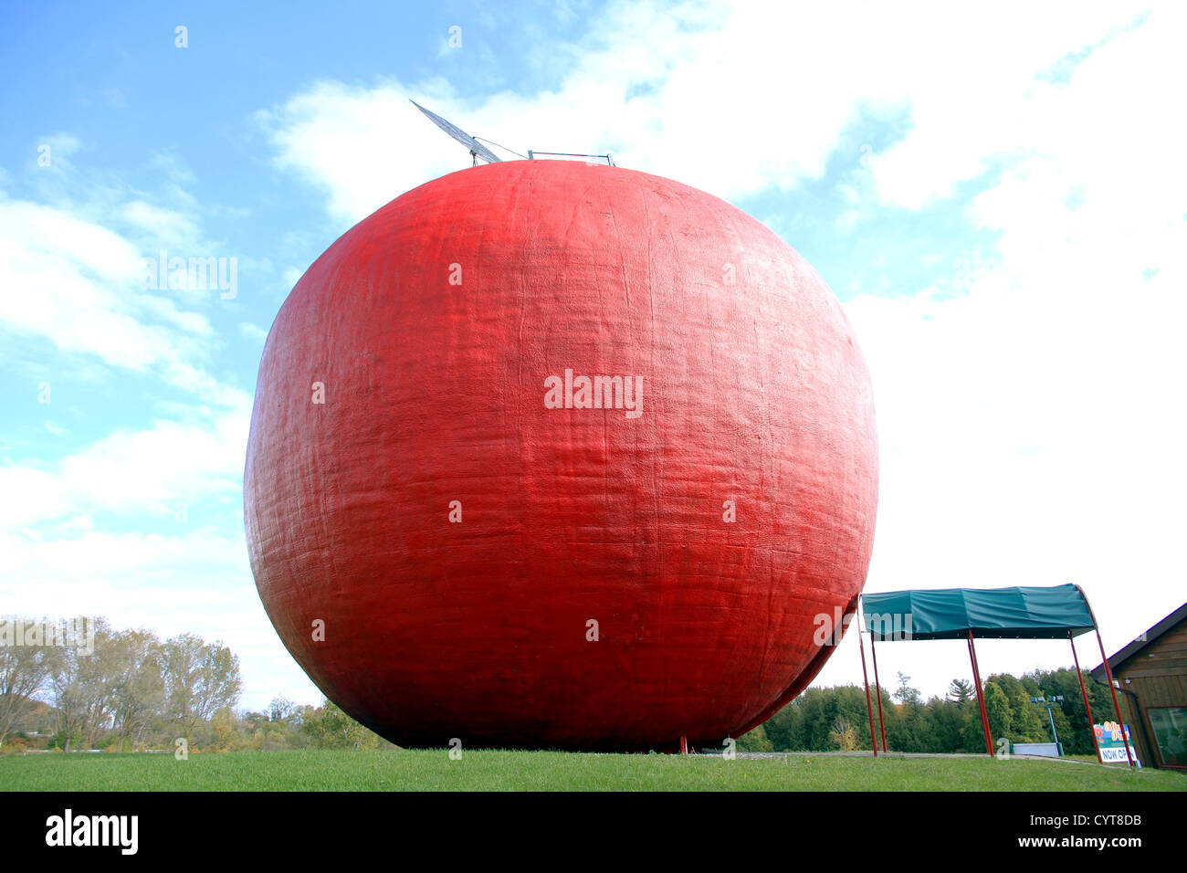 Big Apple Stock Photo