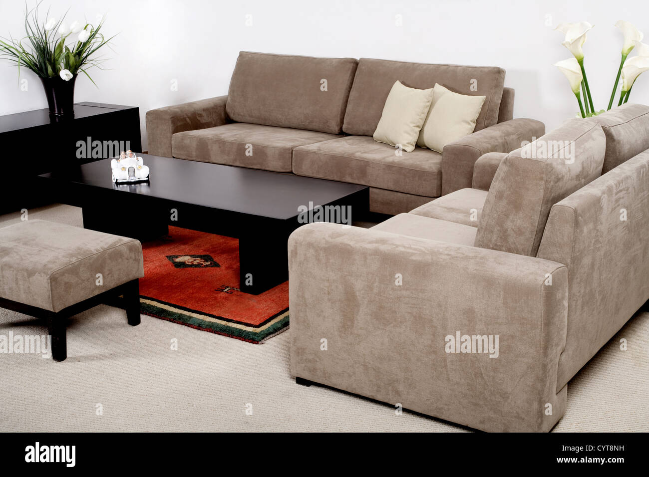 Classic furniture in a modern living room Stock Photo Alamy