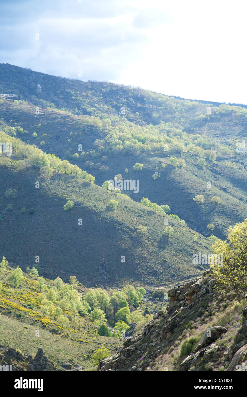 natural landscape in gredos mountains at avila spain Stock Photo - Alamy