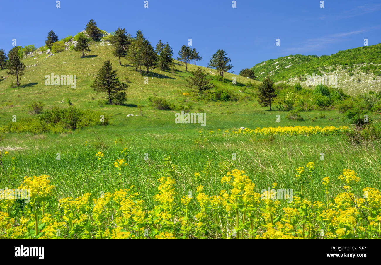 Mountain landscape in Lika , Croatia Stock Photo