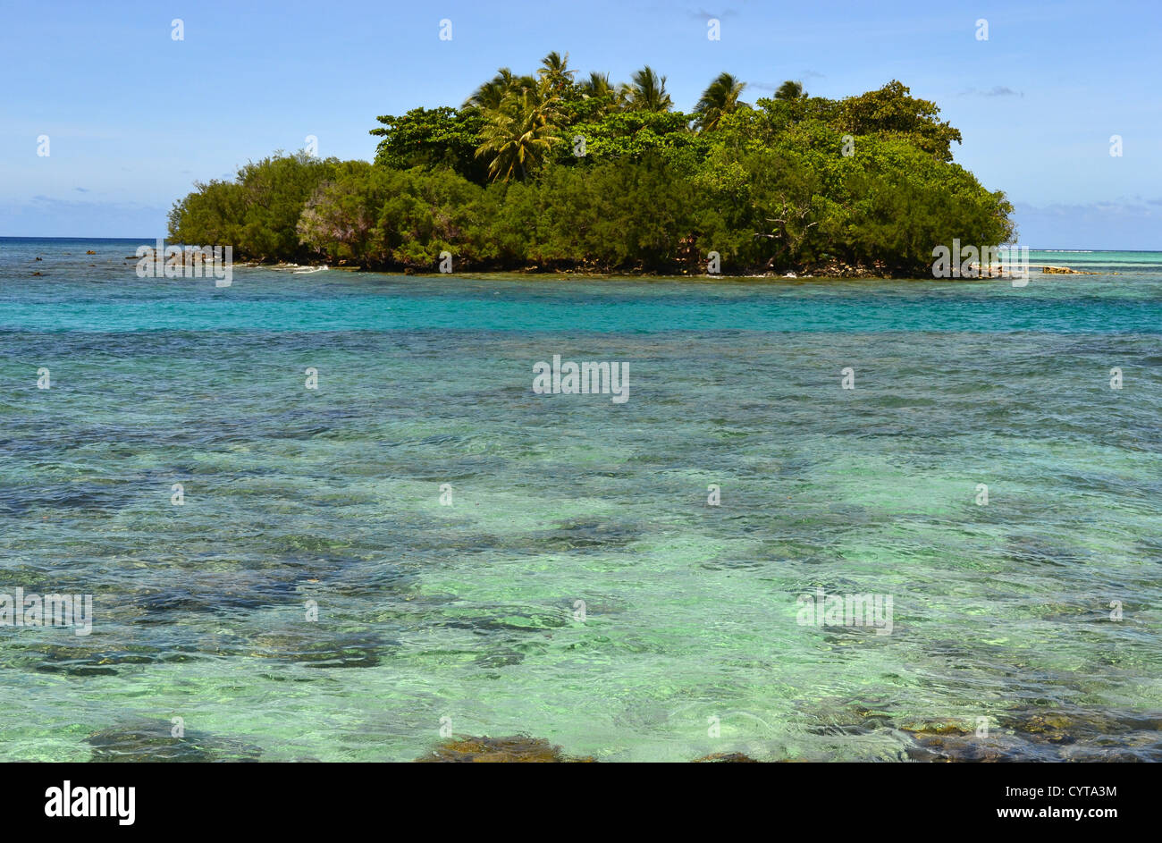 Fringing reef at Black Coral island, Kitti Province, Pohnpei, Federated States of Micronesia Stock Photo
