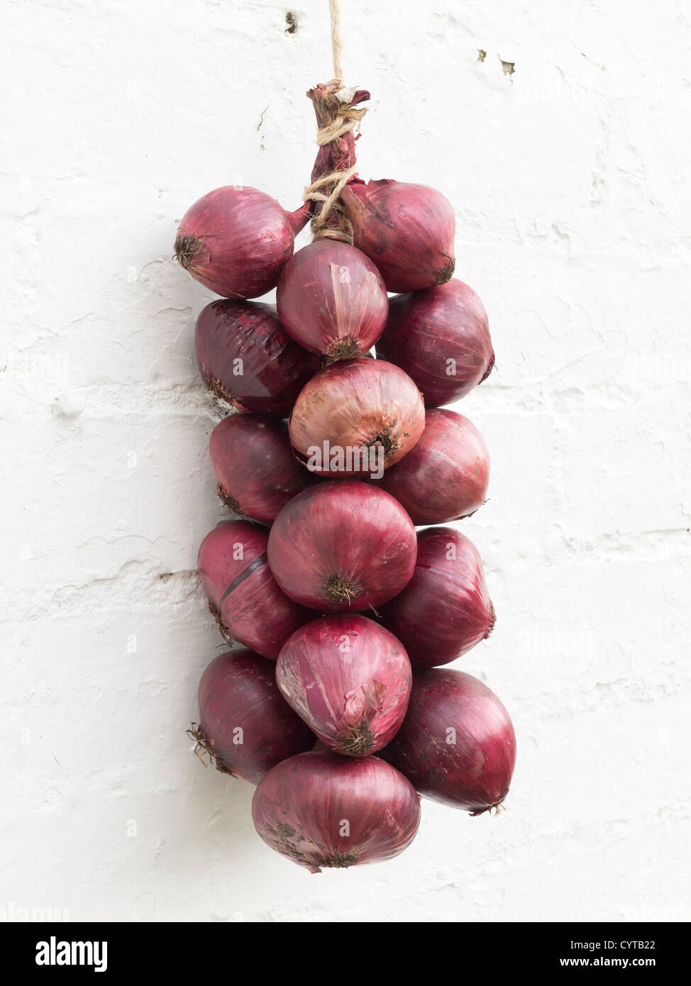 A bunch of Red Onions hanging on a white painted brick wall Stock Photo