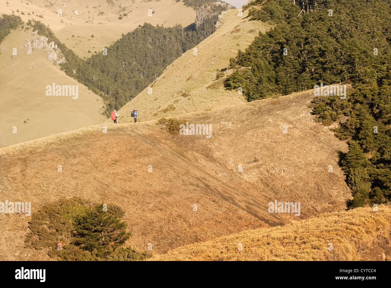 Golden grassland and dangerous ravine in the high mountain Stock Photo