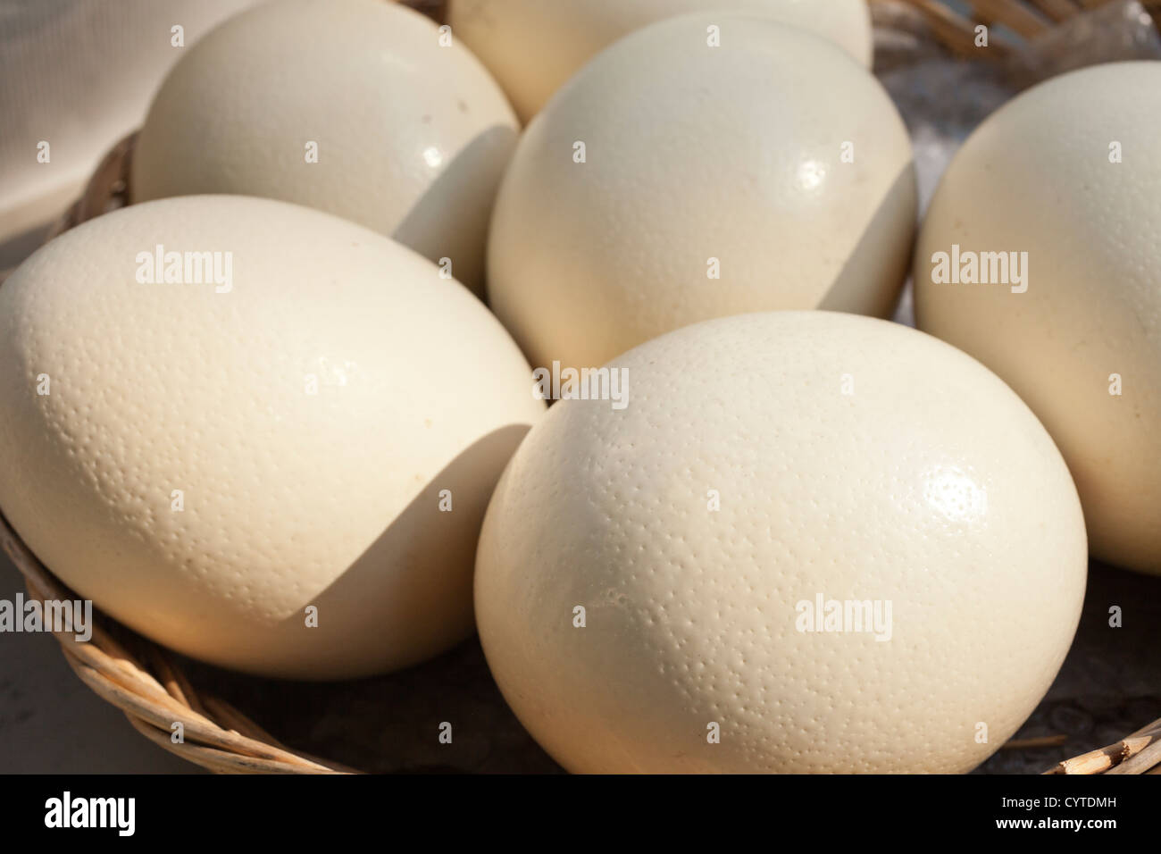 Ostrich Eggs, Union Square Greenmarket, NYC, USA Stock Photo