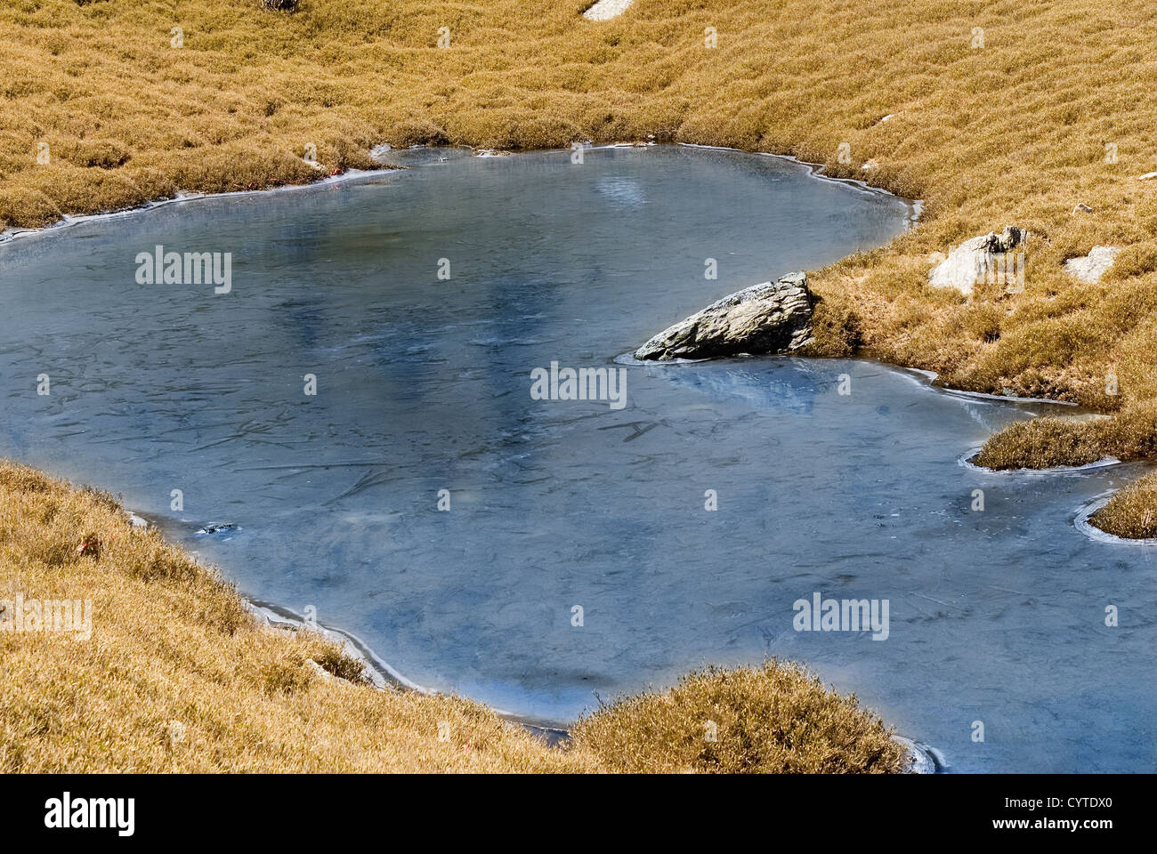 Pond Ice Ridge Beautiful strange iced pond surface and rock Stock Photo - Alamy