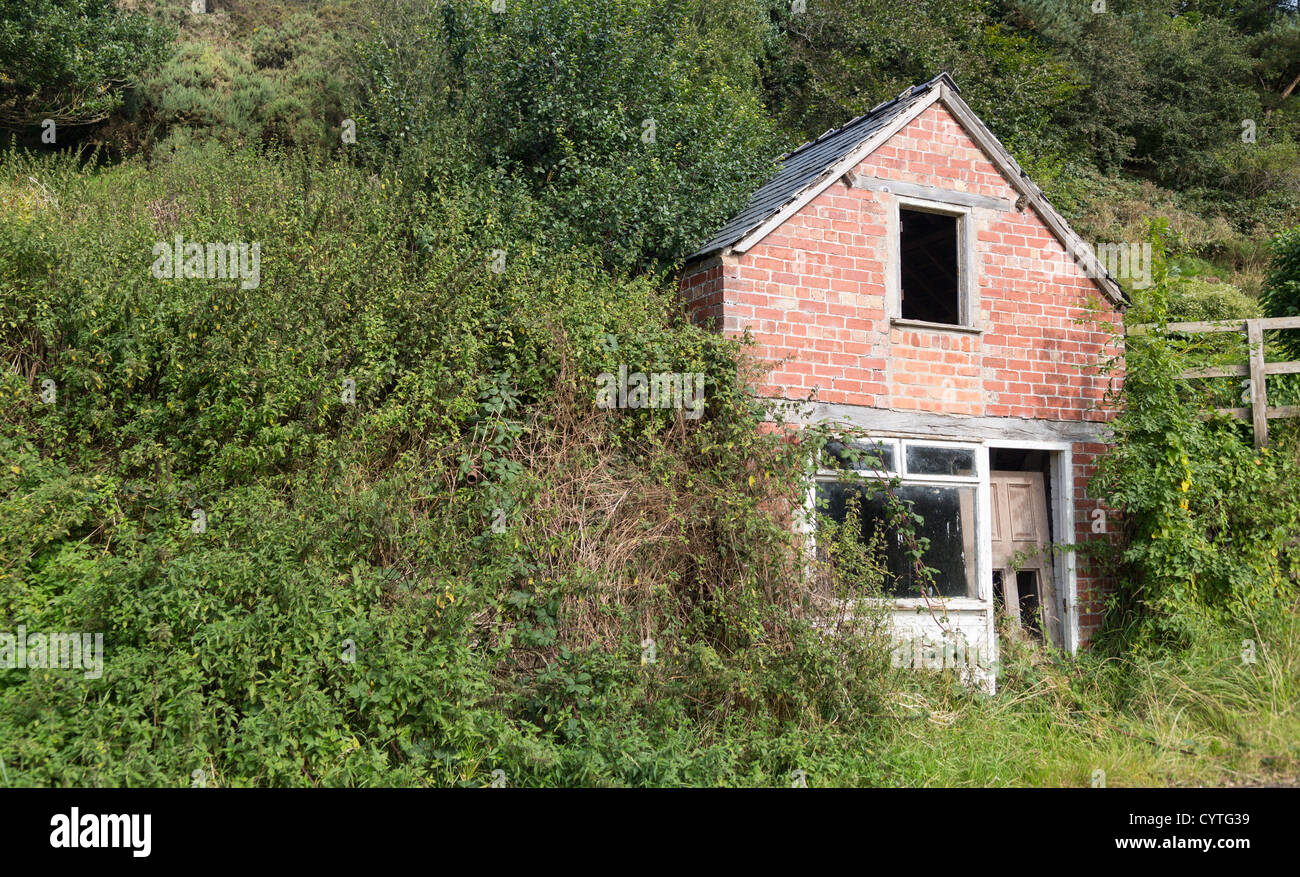 Abandoned brick house set into hillside in England with door falling in Stock Photo