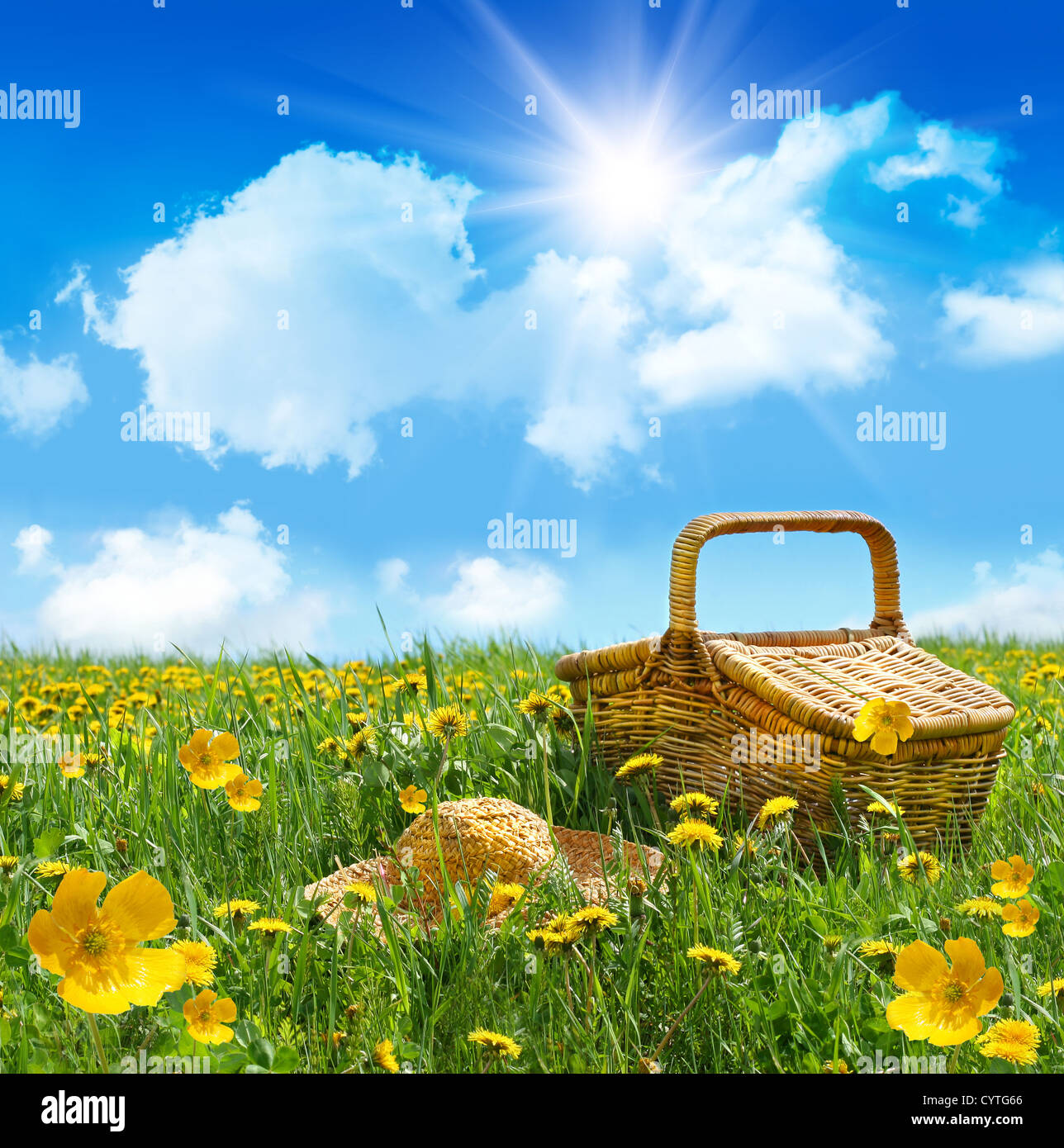 Summer picnic basket with straw hat in a field of dandelions Stock ...