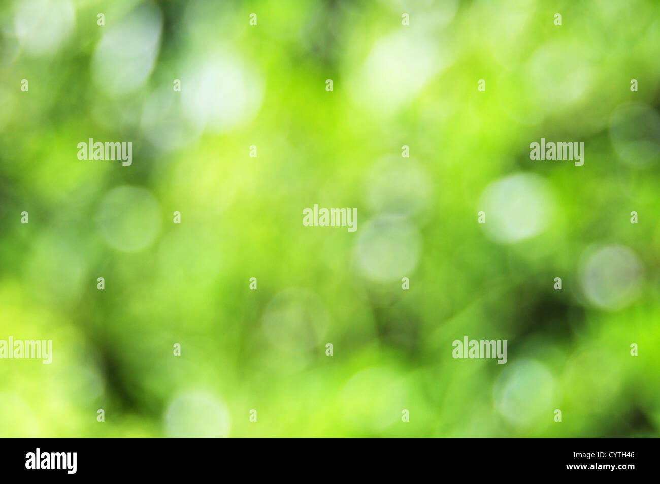 abstract green nature bokeh background with copyspace Stock Photo - Alamy