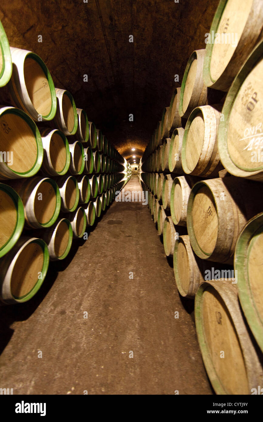 Barrels at wineries Marques de Riscal at El Ciego, Rioja Alavesa, Alava, Pais Vasco, Spain Stock Photo