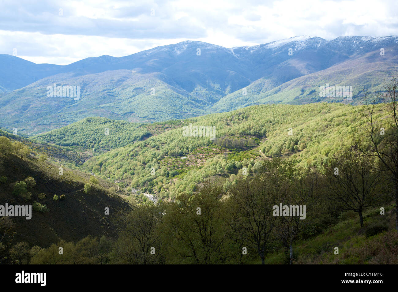 natural landscape in gredos mountains at avila spain Stock Photo - Alamy
