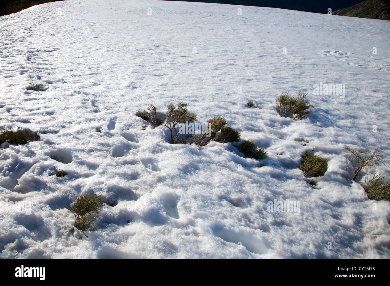 snow gredos mountains in avila spain Stock Photo Alamy