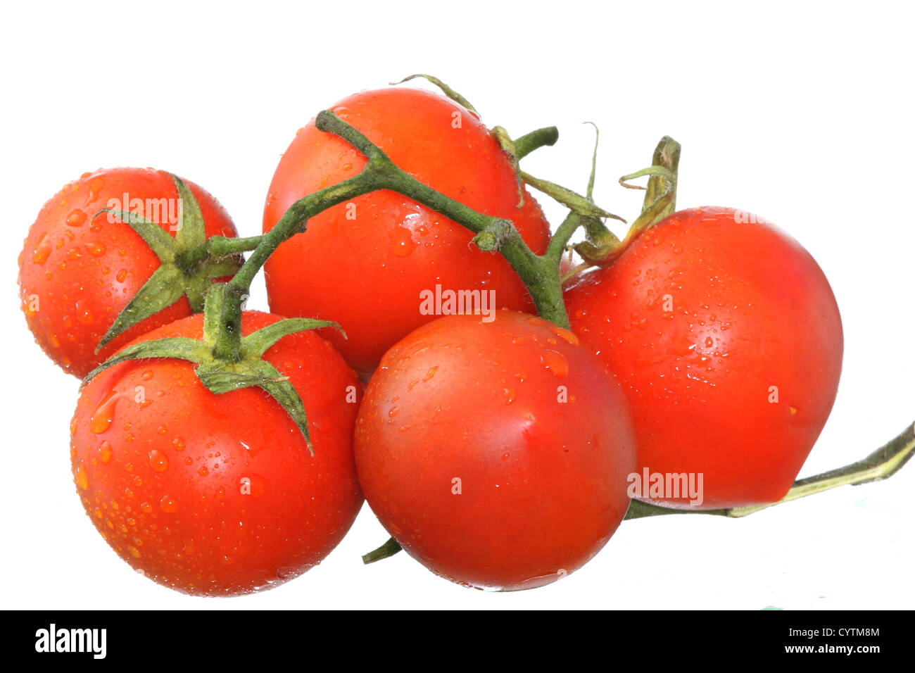 Fresh wet tomatos isolated on white background Stock Photo - Alamy