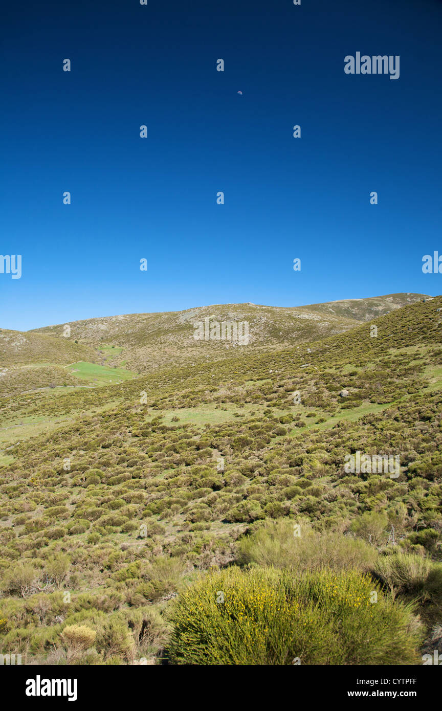 gredos mountains in avila spain Stock Photo - Alamy
