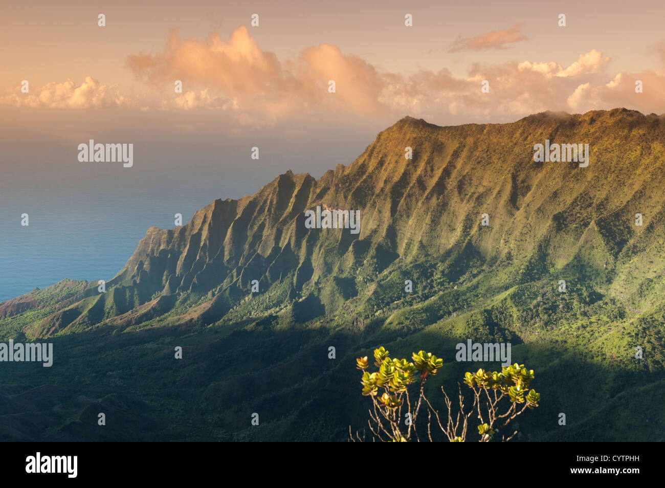 Elk2847513 Hawaii, Kauai, Kokee State Park, Kalalau Overlook, Na Pali coast landscape Stock