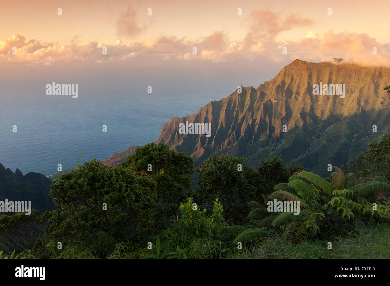 Elk2847528 Hawaii, Kauai, Kokee State Park, Kalalau Overlook, Na Pali coast landscape Stock