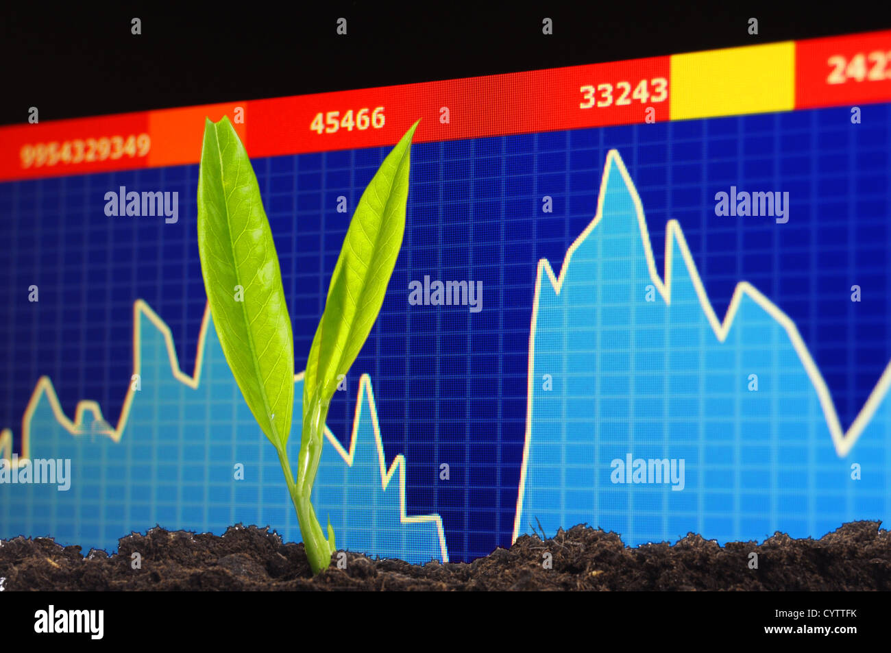 growth or growing economy concept with business chart and young plant