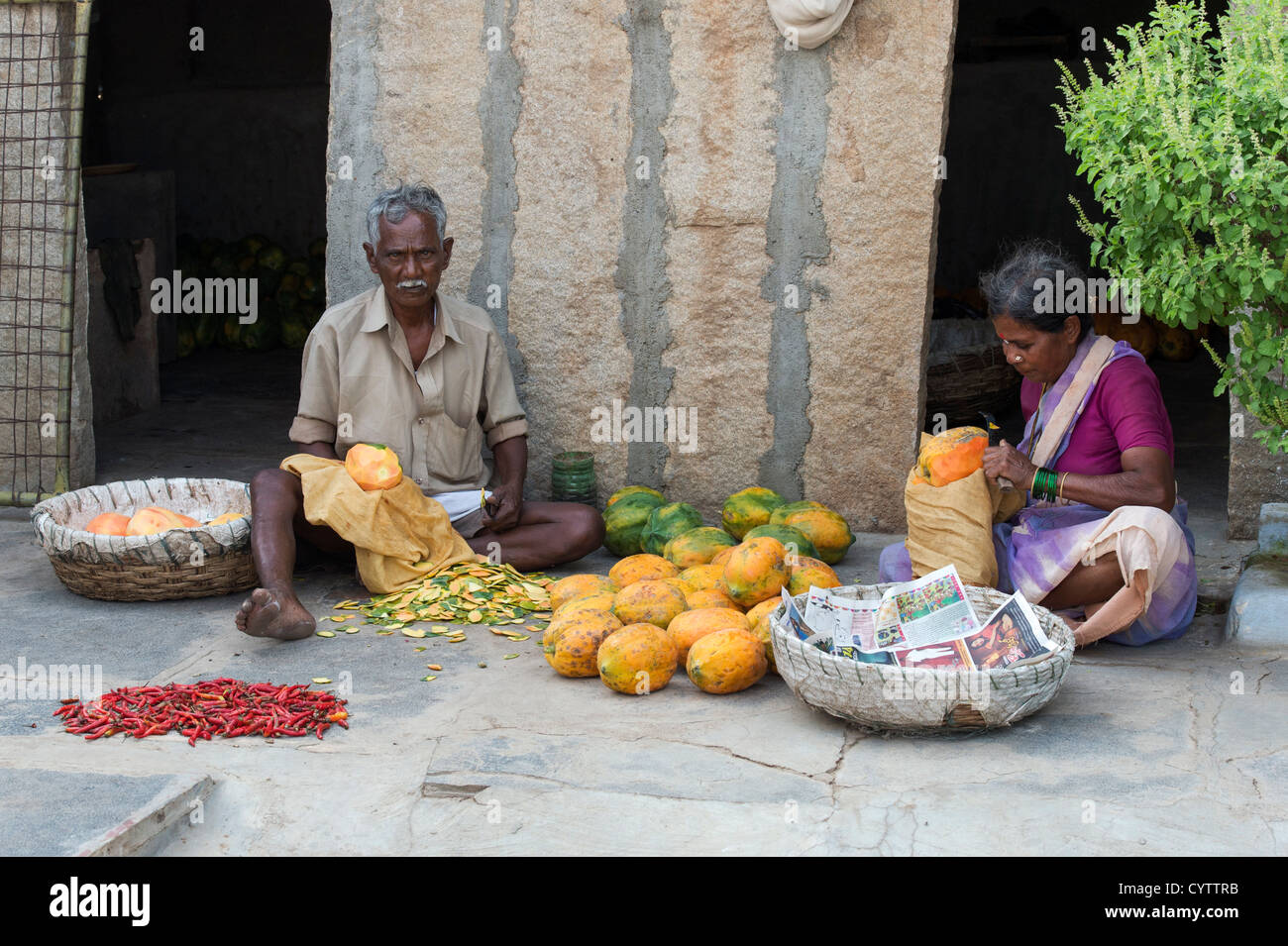 Old Indian couple peeling and cutting papaya outside their rural indian home. Andhra Pradesh, India Stock Photo