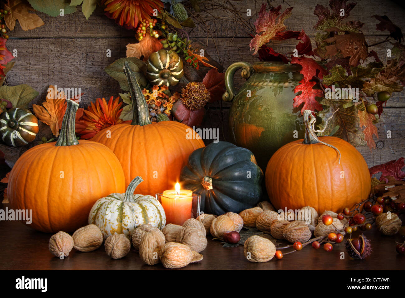 Still life various pumpkins hi-res stock photography and images - Alamy