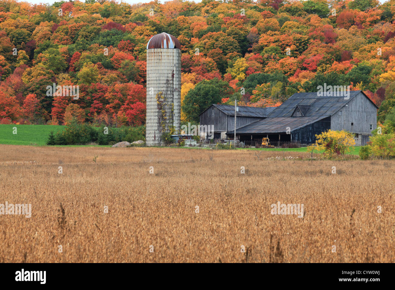 Canadian rural landscape in autumn colors Stock Photo