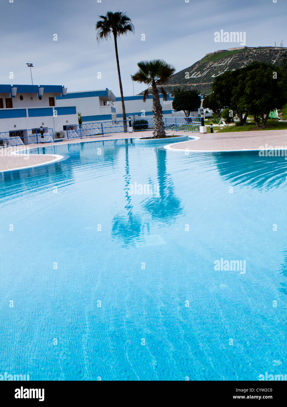 Palm tree with reflection on blue swimming pool Stock Photo