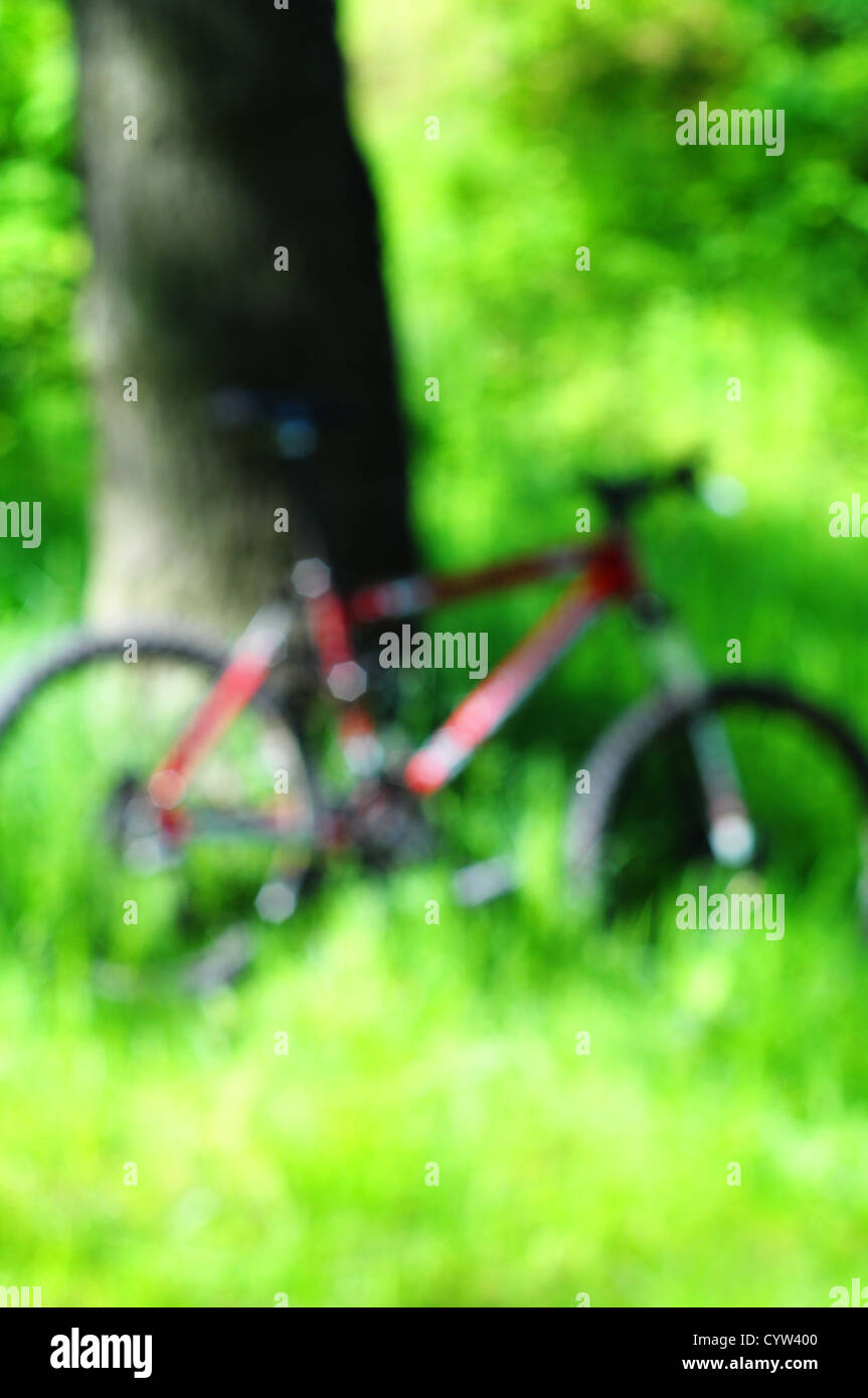 mountain bike in green nature out of focus can be used as ...