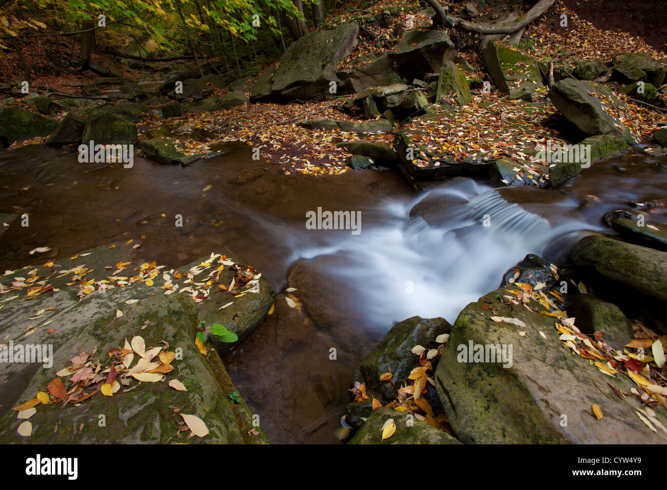 Canada ontario hamilton hi-res stock photography and images - Alamy