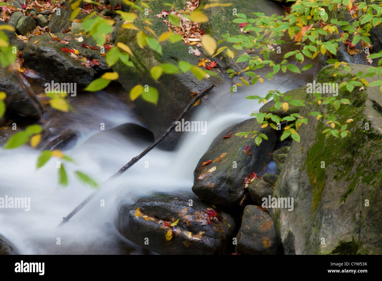 Hamilton canada waterfall hi-res stock photography and images - Alamy