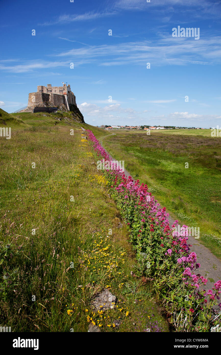 View of Lindisfarne Castle, a National Trust property, Northumberland, UK Stock Photo