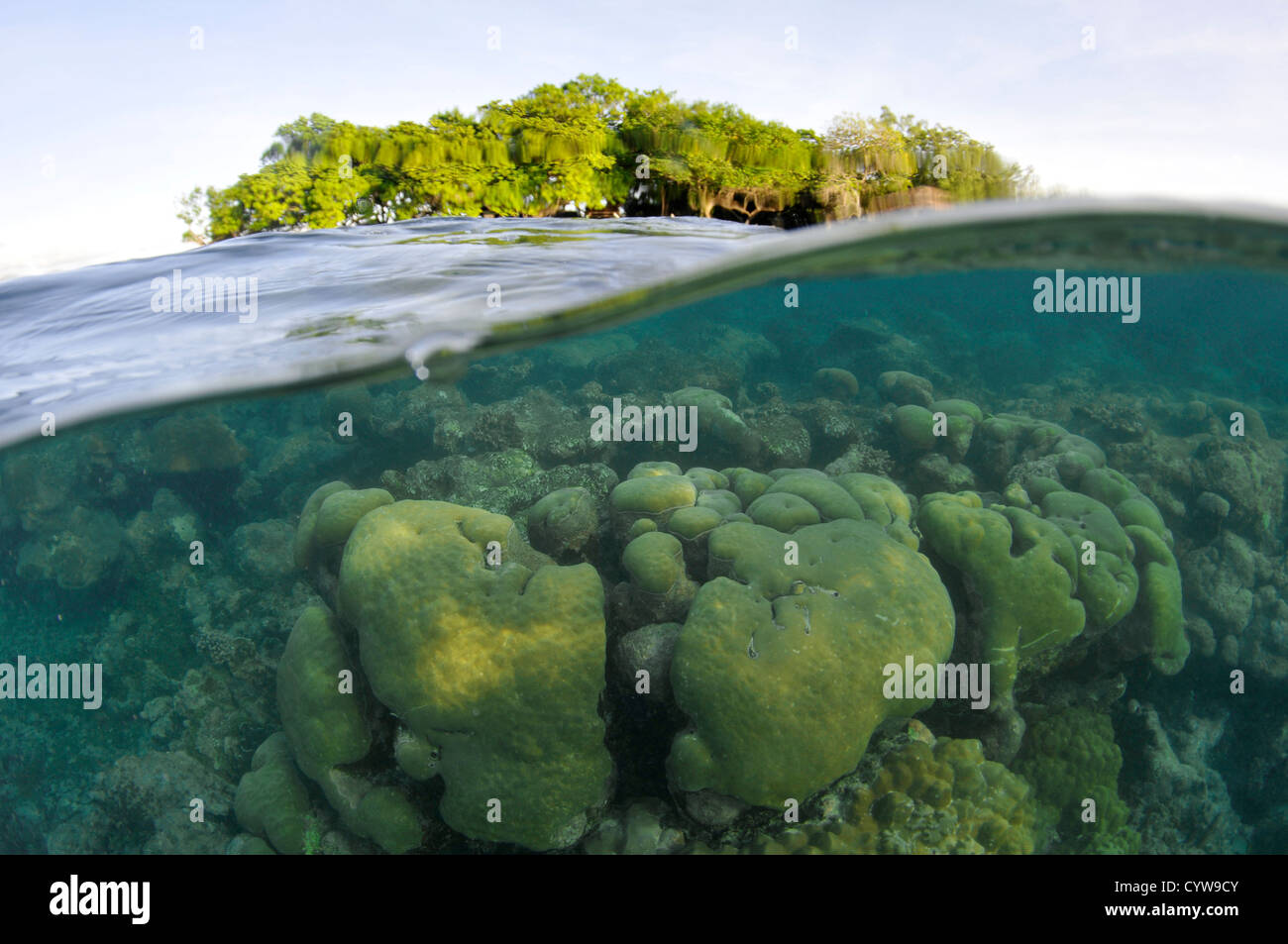 Split image of Black Coral island and coral reef, Pohnpei, Federated States of Micronesia Stock Photo