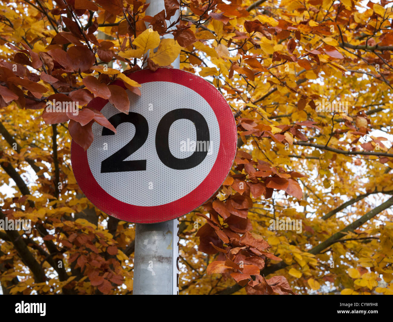 20 mph speed limit signs in Cambridge UK against autumn leaves Stock Photo