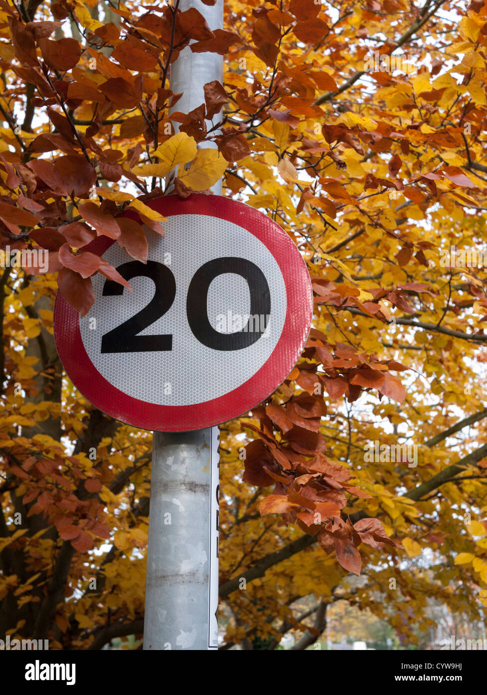 20 mph speed limit signs in Cambridge UK against autumn leaves Stock Photo