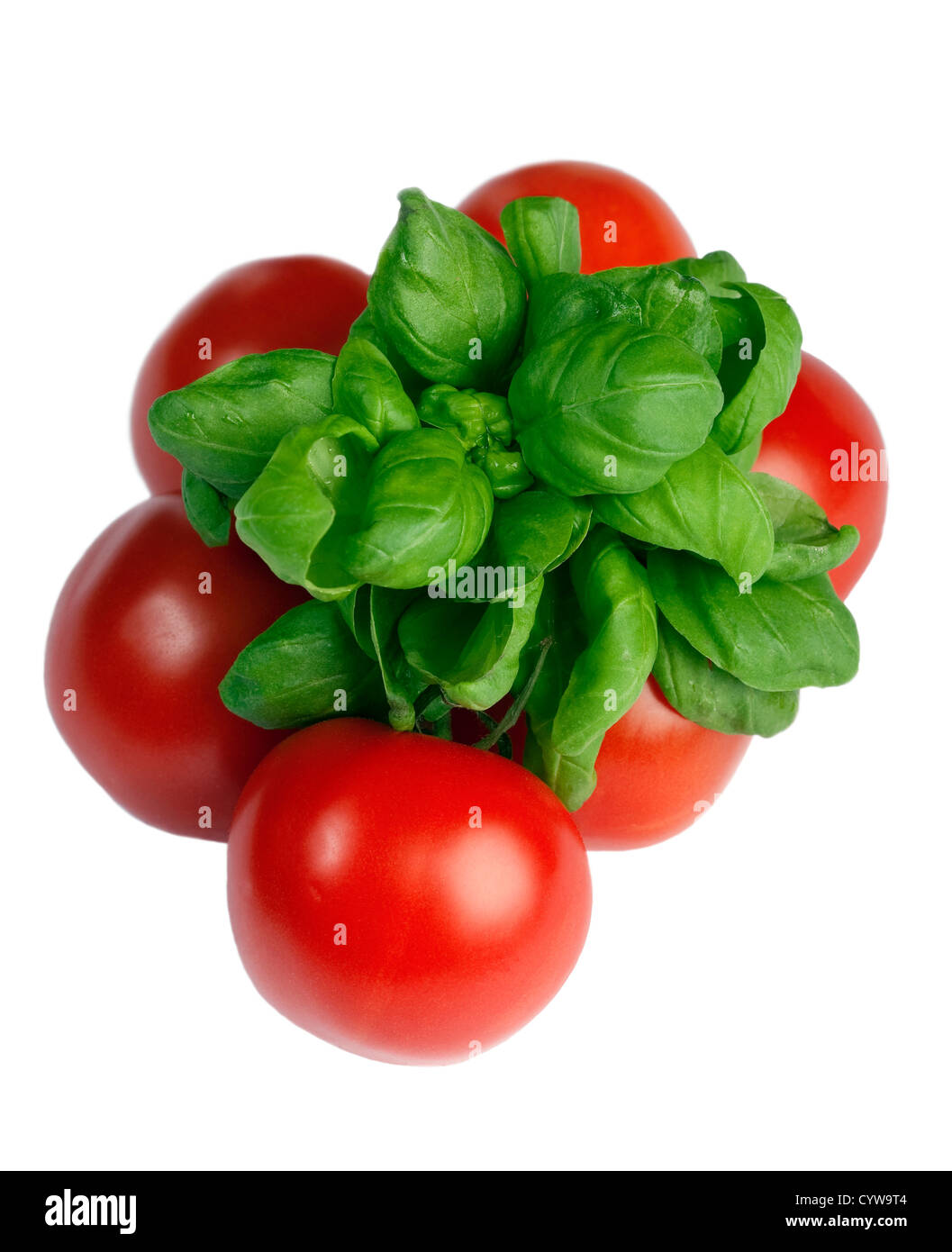 Basil and tomatoes isolated on white Stock Photo - Alamy