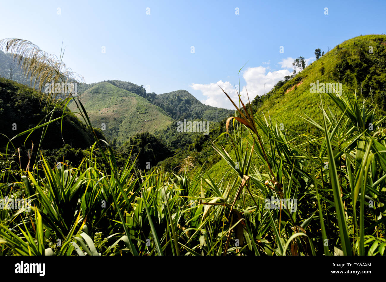 Some of the rugged mountainous landscape of the Luang Namtha region in northern Laos. Farmers grow mountain rice on the steep hillsides. Stock Photo