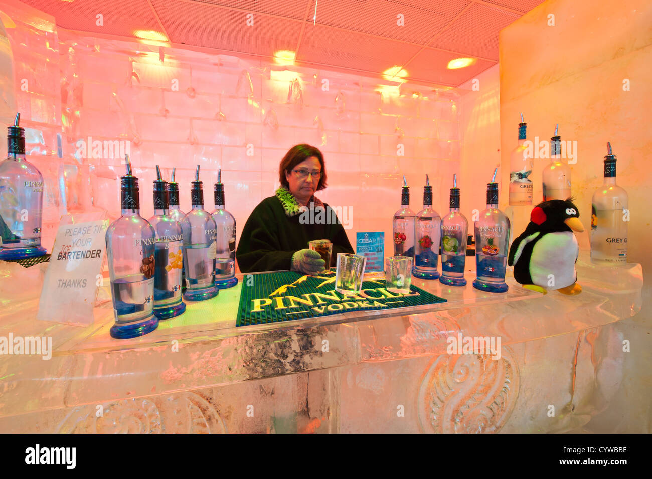 Patrons at the Ice Bar Orlando, Florida. Stock Photo