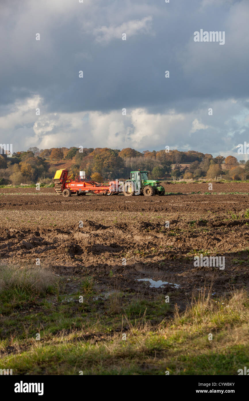 Tractor and potato harvester stuck in a muddy field. Difficult
